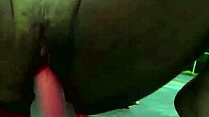 Wet latinas grinding pussies and asses on luxury cars with dildos