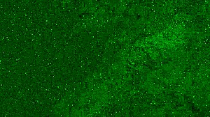 wanna see this crazy 18yo pee panties on public beach?