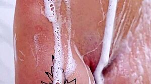 Spyfam: i'll suck your cock bro just don't tell parents about my tat bella nova