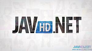 discover lovely japanese milfs giving hardcore blowjobs in high def compilation