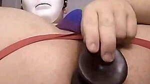 chubby bear cub rams fat black dildo deep inside