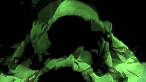 hairy mature beaver fucked in vintage erotic silent film