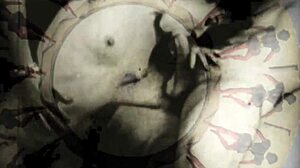 Vintage Films Expose Hairy Retro Pussy Close-Ups