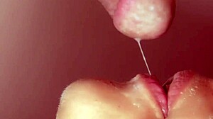 stepmom gives me the sloppiest blowjob ever 💦🍆 cum in mouth closeup 😍