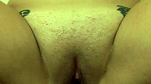 alexandria gets pussy stretched by thick rough dick