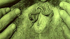 ever seen vintage lesbians eat hairy pussy in threesome