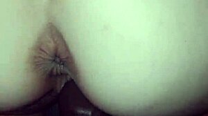 does bunny crave that monster black bull cock?