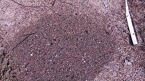 Amateur Brunette Unleashes Powerful Outdoor Piss Stream