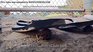 Giantess Maria Crushes Snails Hidden Nightclub Latina Feet