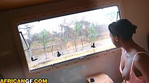 amateur ebony babe's tight ass pounded deep by huge white cock in van