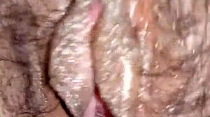 wanna watch your wife suck stranger cock voyeur style?