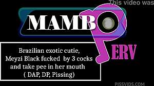 brazilian cutie meyzi black takes 3 cocks dp dap pissing dirty talk bbc!