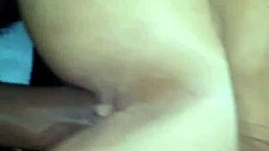 Wanna see doggystyle wreck my wife's wet pussy?