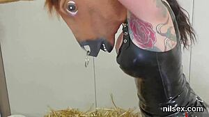 that feisty kitten's tight asshole gets brutally stretched in pain asylum