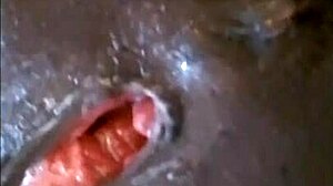 twerking doggy style my face is cum mess from your cock dream spanking big ass