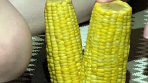 لحس طيز صديقة سمينة ثم نيك طيزها الكبيرة