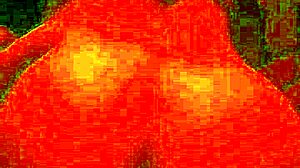 Hermoso Culo Gime Fuerte Con Verga Grande