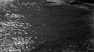 check out this vintage hairy pussy erotic masterpiece 🔥👅