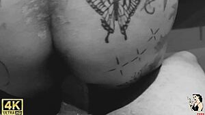 hey aunt paty angel, why sit so hard on that big pussy toy?