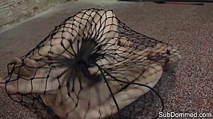 euro small tits slave bound humiliated rough by maledom in kinky bdsm web trap