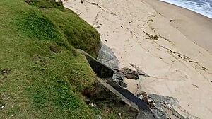 Couple flashes wife's hairy pussy on street beach and market for all