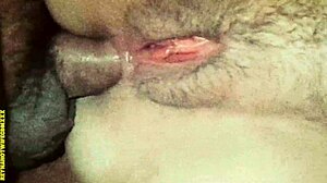 uber taxi paid with blowjob turns into backseat anal ride