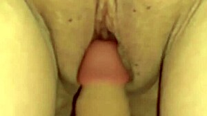 amateur wife's shaved pink pussy close-up 203 days post-virginity wet toy licking