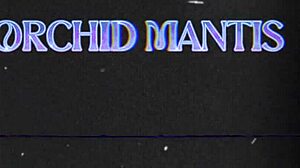 bleubrutalrose pawg milf latex skirt boots shakes ass sucks bbc rough fuck!