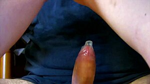 How Many Warnings Until You Avoid Stranger Rides? CNC Fantasy