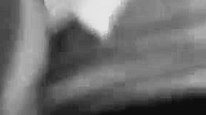 Mr cunnilingus pounds lil pound cake in wild four year interracial fuckfest