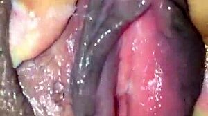 Latina Fingers Her Fat Wet Pussy to Orgasm