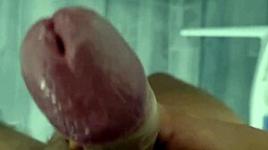 smell kiss this huge cock then swallow every drop??