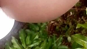 guy fucks hairy big ass squirting pussy creampie in bush afternoon