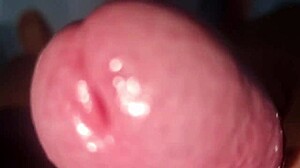 smell kiss this huge cock then swallow every drop??