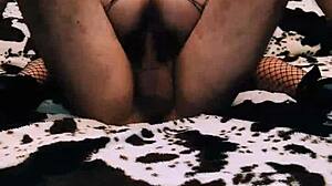 classy homemade couple indulges in elegant anal play