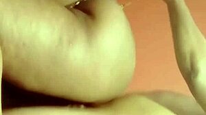 sundaydogood614 drops update 593 with vid 20241105 143136 nov 05!