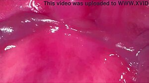 Amateur Pink Pussy Closeup 269 Days After Virginity Loss