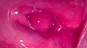 Amateur Pink Pussy Closeup 269 Days After Virginity Loss