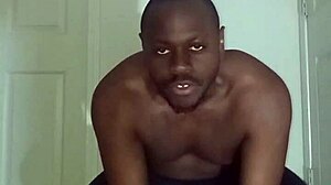 Lizard Exercises Differ from Spider and Squid Ones