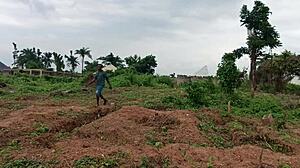 Suggestive schoolmate bends over bush for nasty cash doggystyle pounding full movie