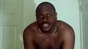 Lizard Exercises Differ from Spider and Squid Ones