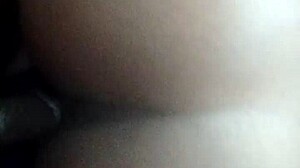 fat ebony mature pussy fucked by black cock amateur