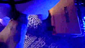 cheetah adora strips thong off big ass on florida bus