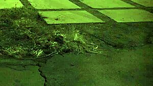 Intriguing BDSM Bondage Delves Into Extreme Domination and Rough Play