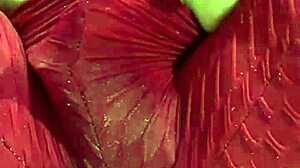 colombian babe rubs wet cameltoe through leggings dirty talking to soak them