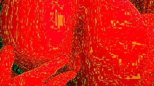 amateur couple worships wife's big ass for anal fun 😈🍑