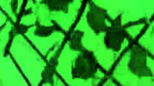 OMG Chocolate Latina Teen Feet in Heels Fetish Tease!