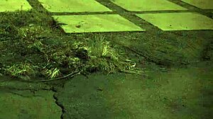 Intriguing BDSM Bondage Delves Into Extreme Domination and Rough Play