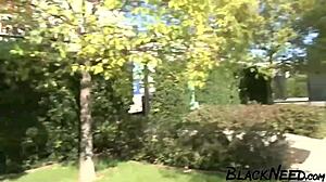 Ebony Amateur Takes BBC Deep In Doggystyle Anal