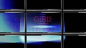 Tampa University Entrance Physical Alexa Rydell